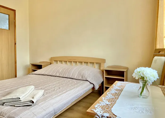 Podlesie 招待所 奥斯特罗沃